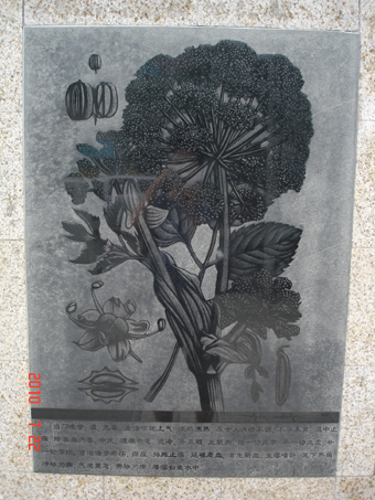 石材激光影雕